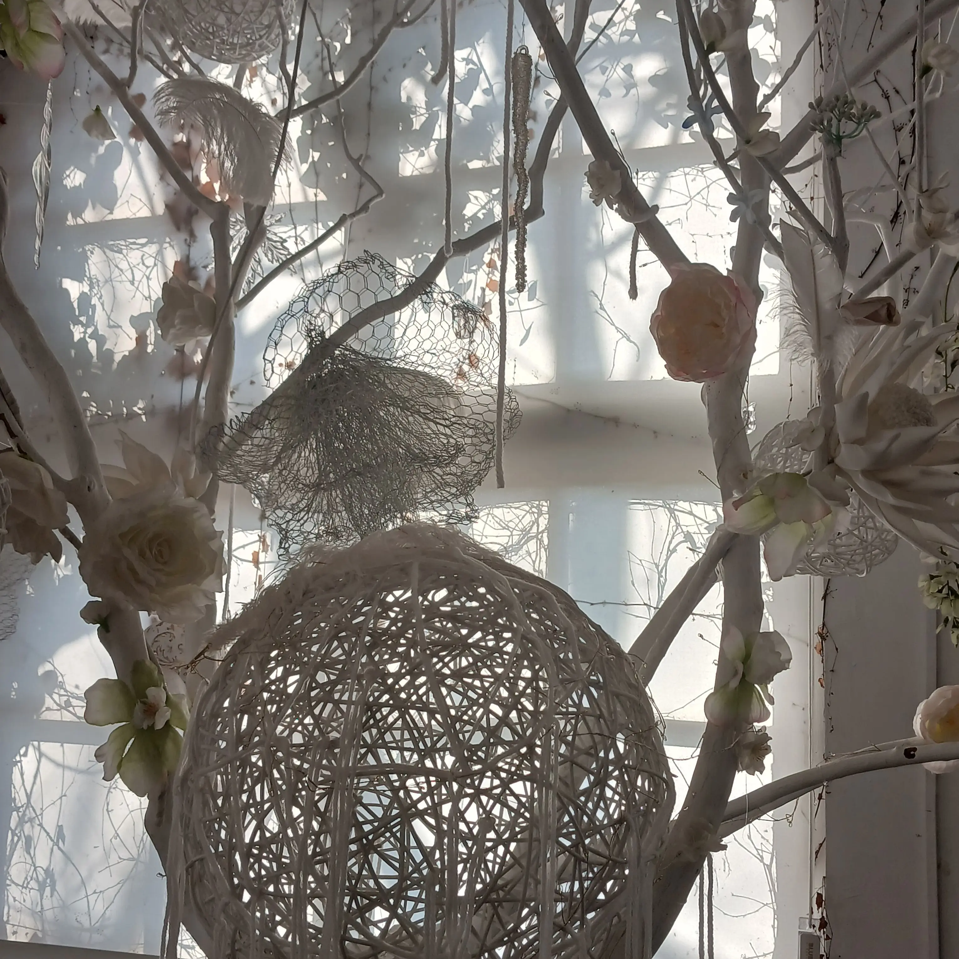 Speh의 실수해버렸다.