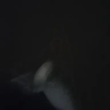 Profile image of はやと