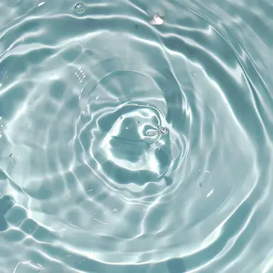 Profile image of 히노모리 시즈쿠