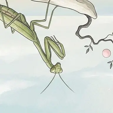 Profile image of Mantis-kun