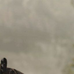 Simon "Ghost" Riley 대표 이미지