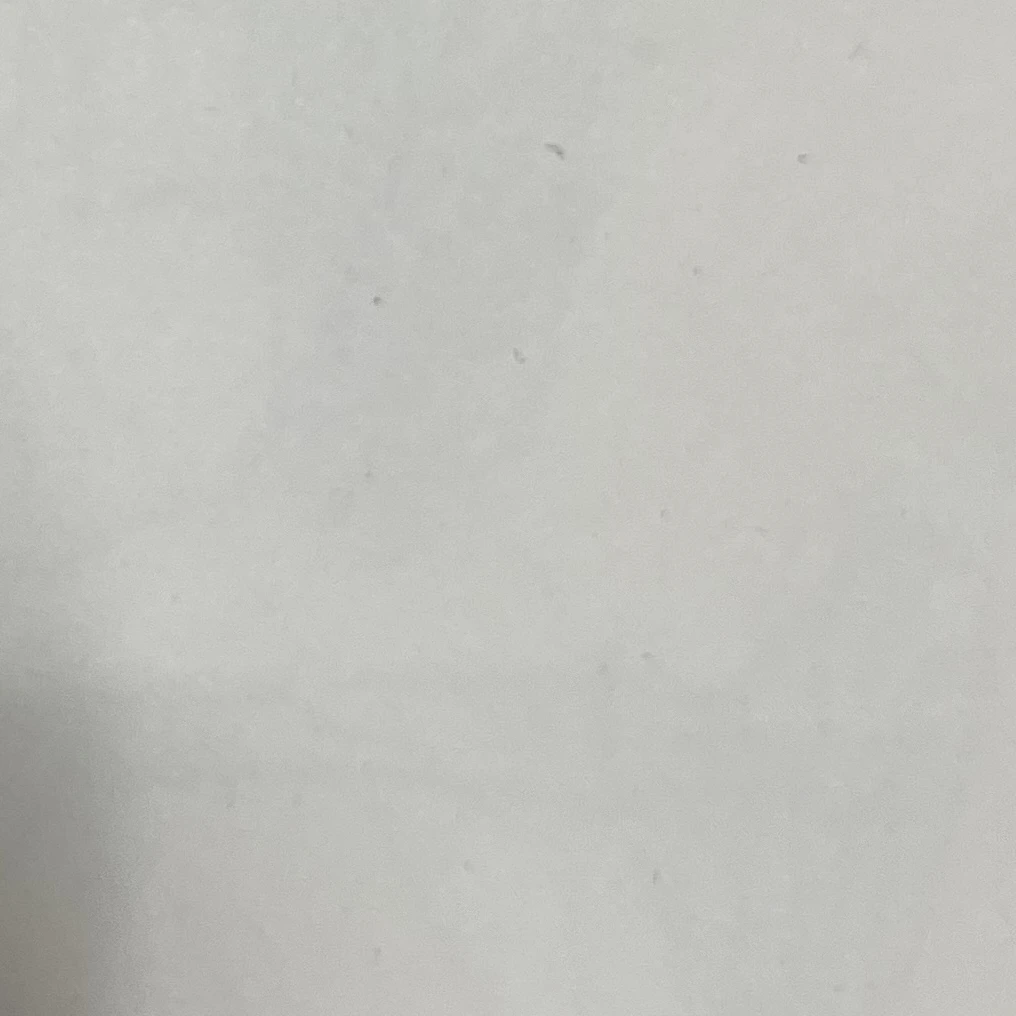 퓨어바닐라,세인트릴리