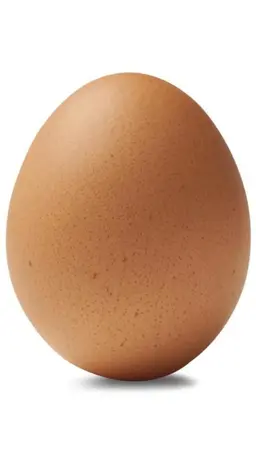 Profile image of eggChan