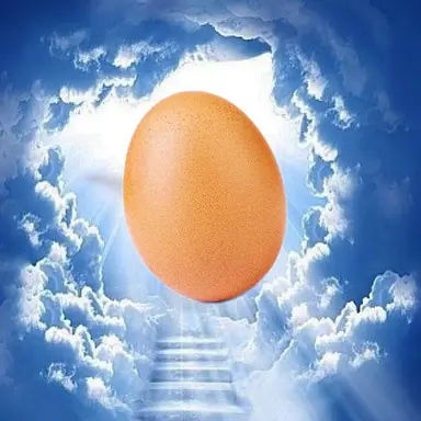 Profile image of eggChan