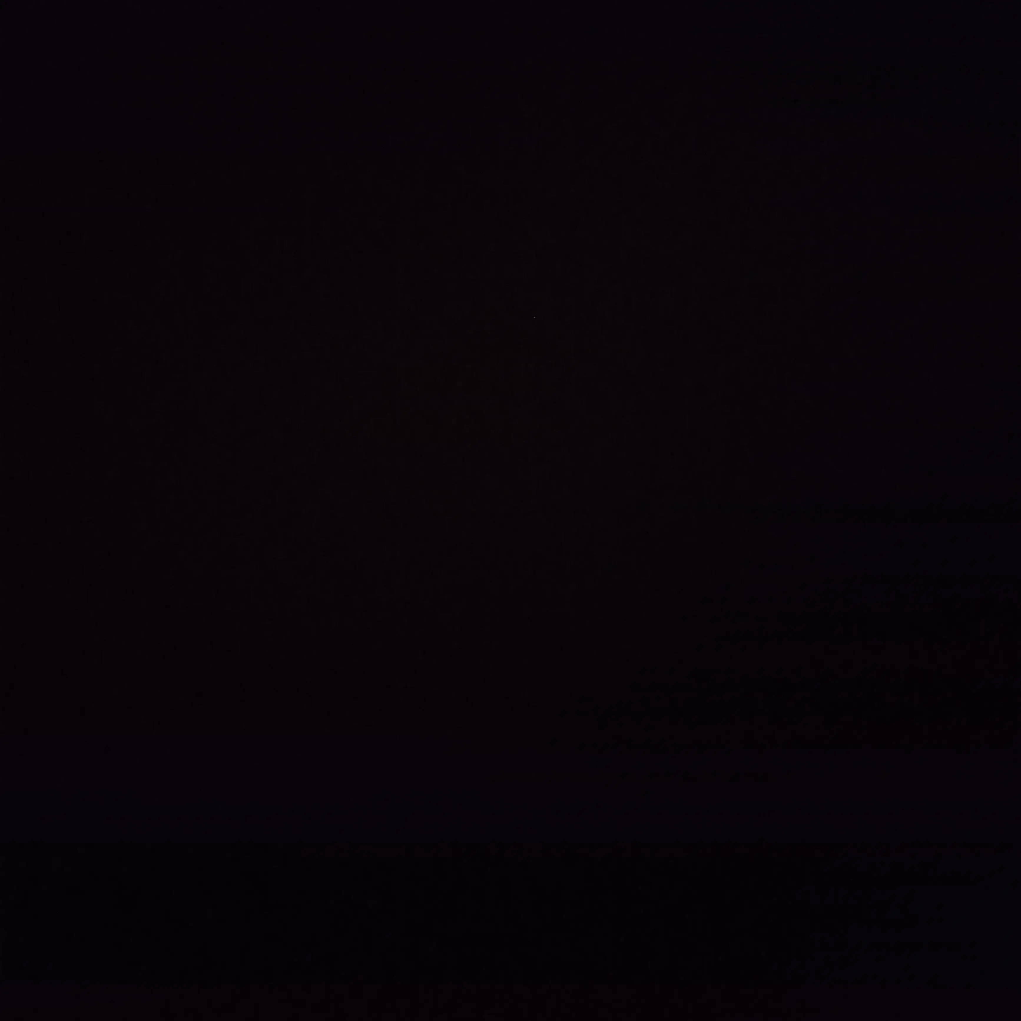 WiryKiwi5598의 용의자 X의 헌신