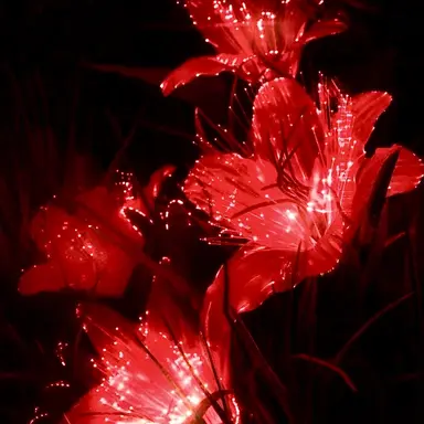 Profile image of 라더