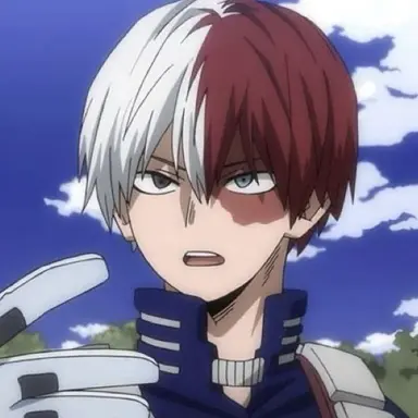 Profile image of Shoto Todoroki