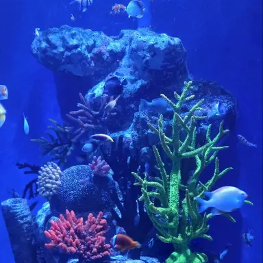 Profile image of 이경민