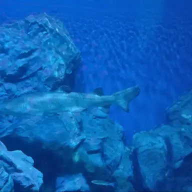 Profile image of 한지훈