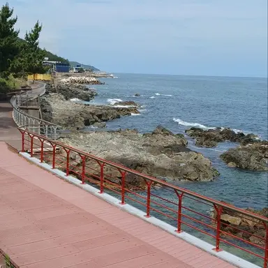 Profile image of 박한진