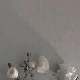 Profile image of 박서연