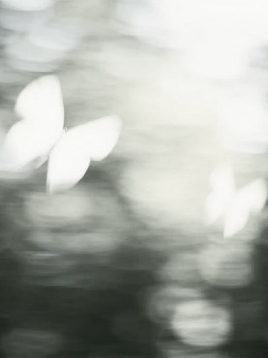 Twilight 대표 이미지