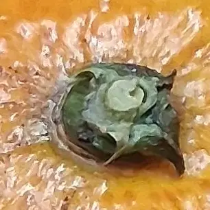 PoeticGirl7383의 아무거나말하는공간