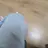 비스트학교
