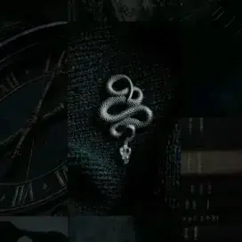 RipestBlock5056의 Harry Potter's Sister