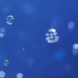 Profile image of 장원영