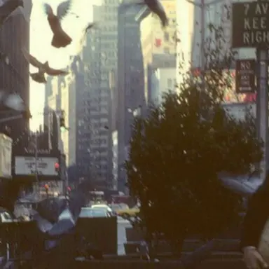 Profile image of フィリックス