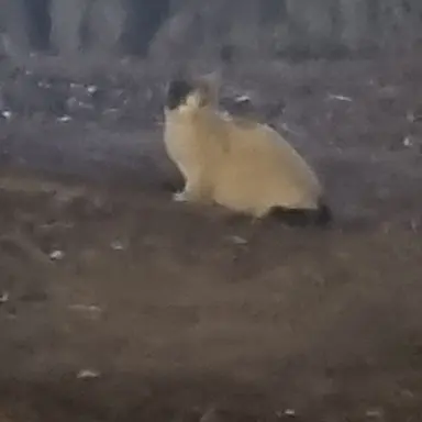 Profile image of 이상혁