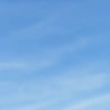 Profile image of 잠뜰