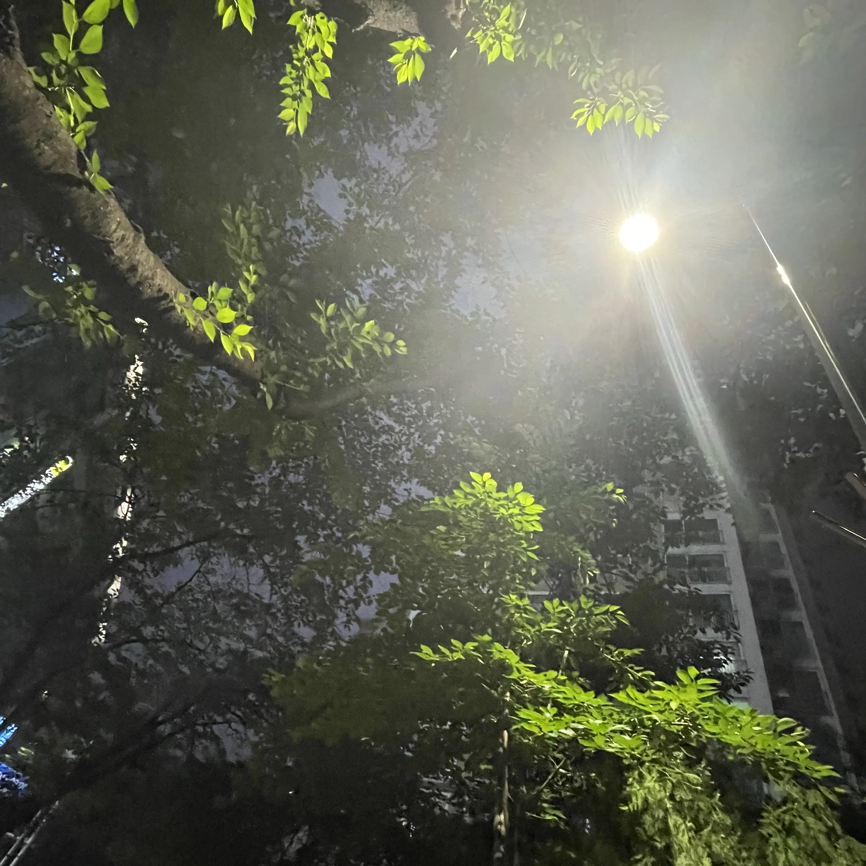 TimelyOcean3598의 홍명석
