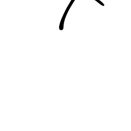 Arno의 베가