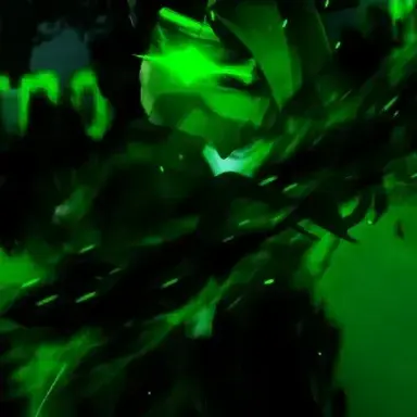 Profile image of 초록 질투