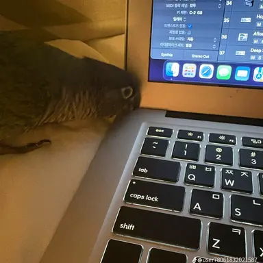 Profile image of 최상엽