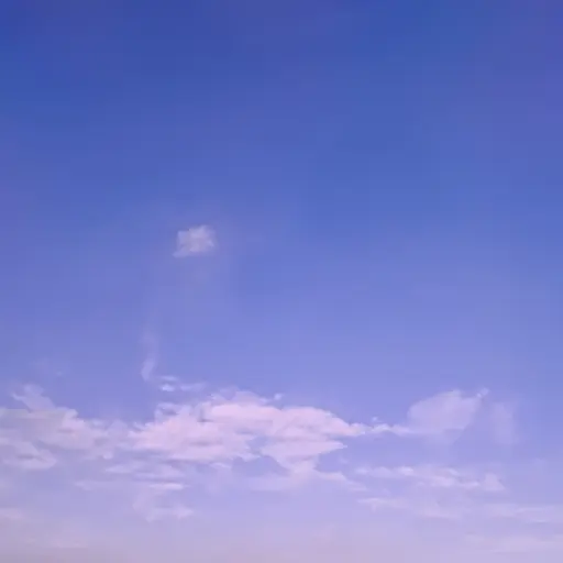 WeakStale6226의 미지가되어보깅