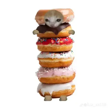 Profile image of 이여우