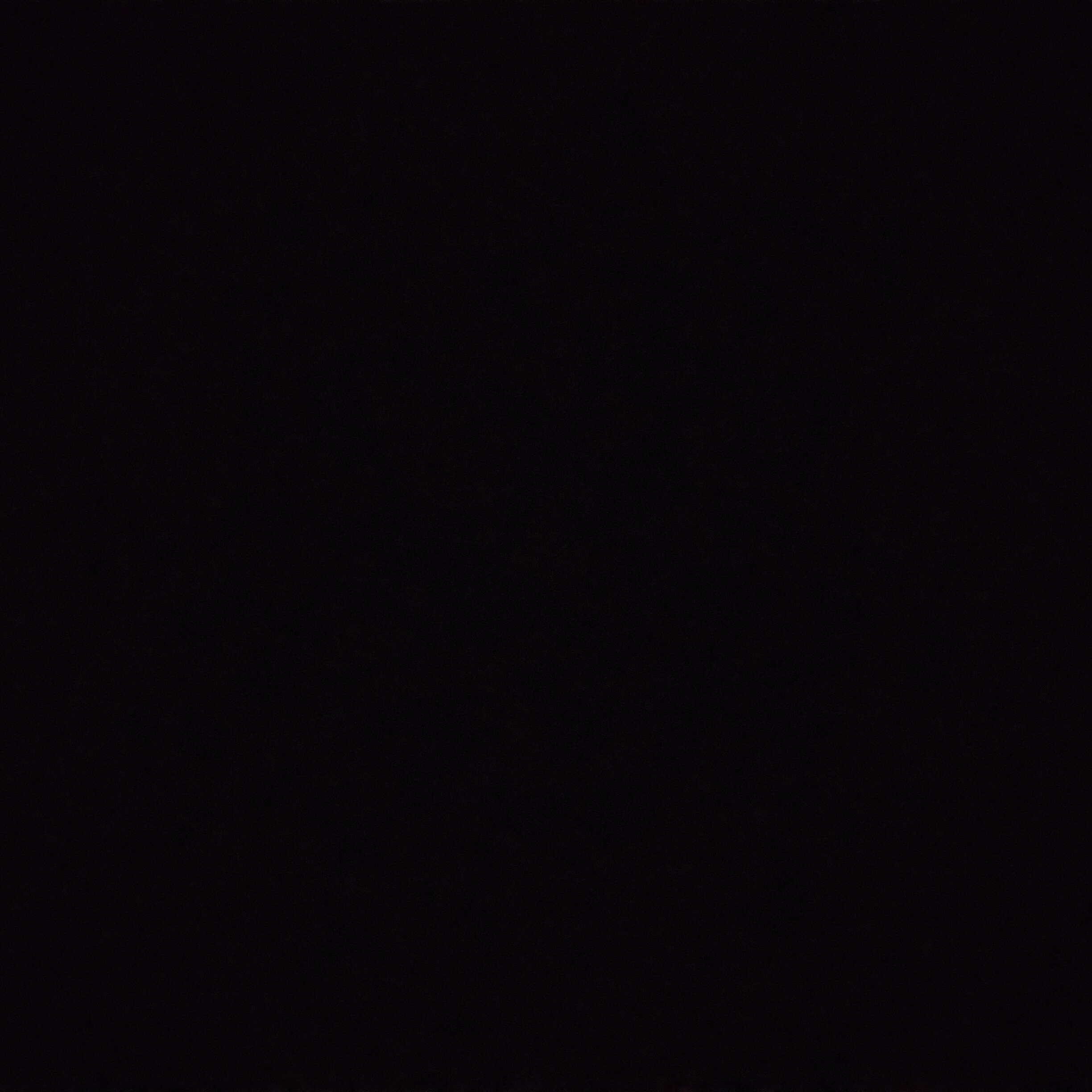 김선우