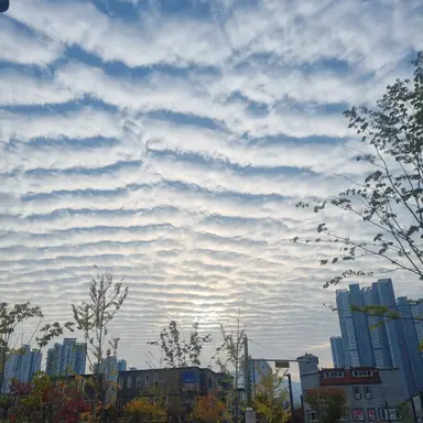 Profile image of 잭