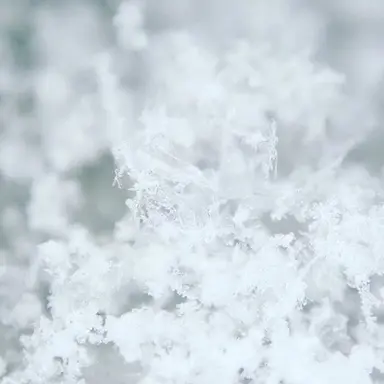Profile image of 花森 雪希