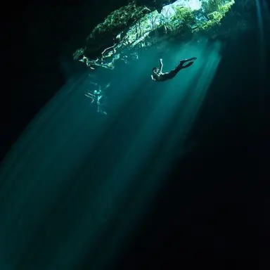 Profile image of 김일영