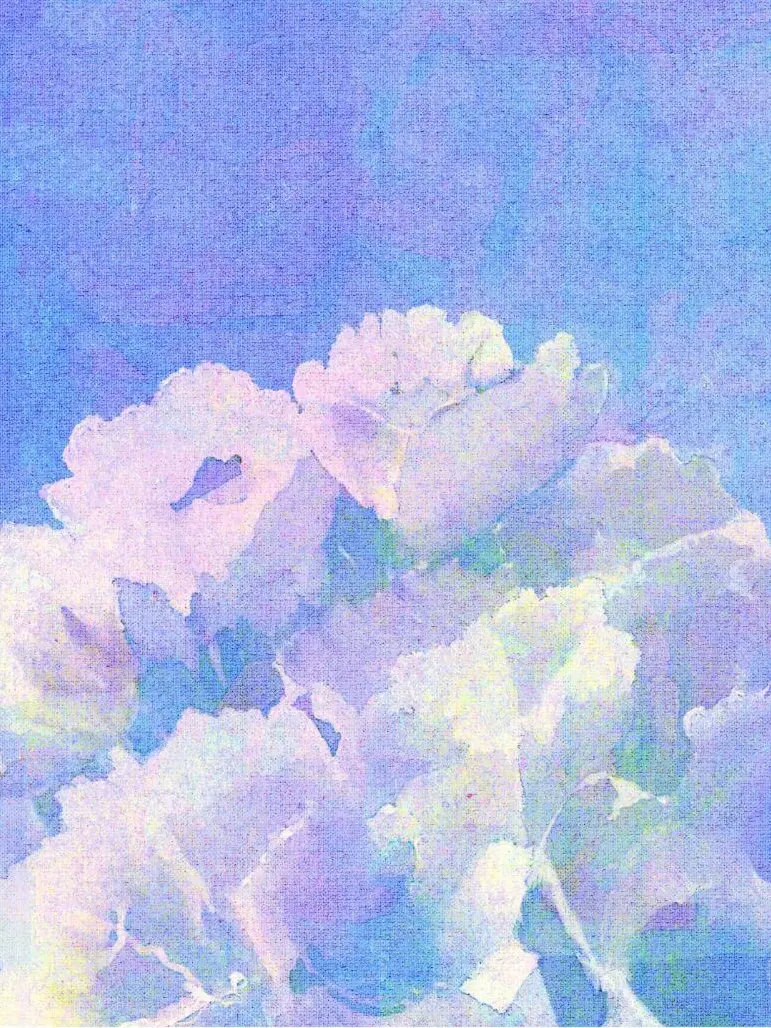 MauveHyena5254의 Azalea