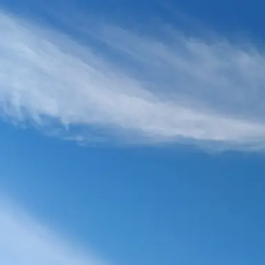 Profile image of 멜로우