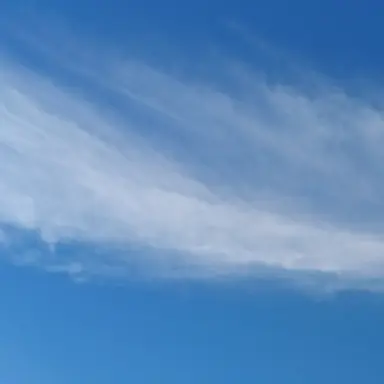 Profile image of 준브레드