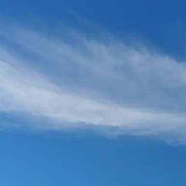 Profile image of 우유참치