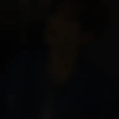 Profile image of 황현진