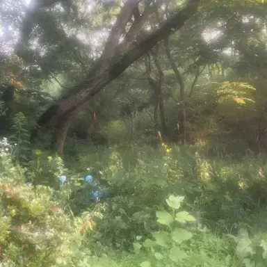 Profile image of 진훈