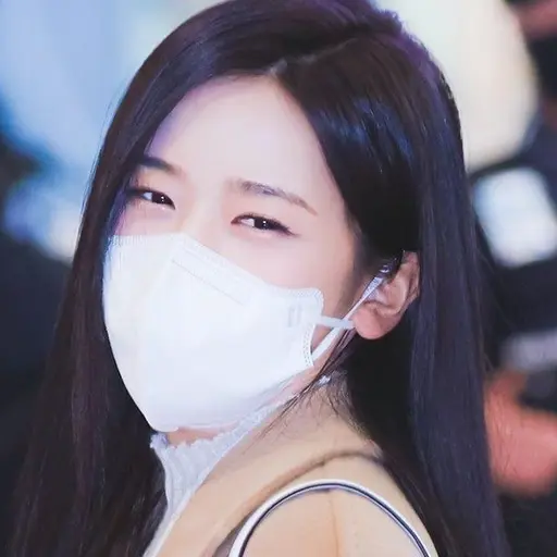 SneakyFox6457의 안유진