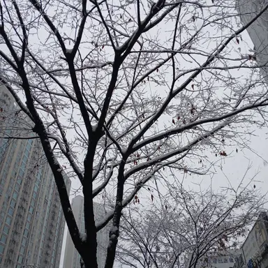 Profile image of 아름