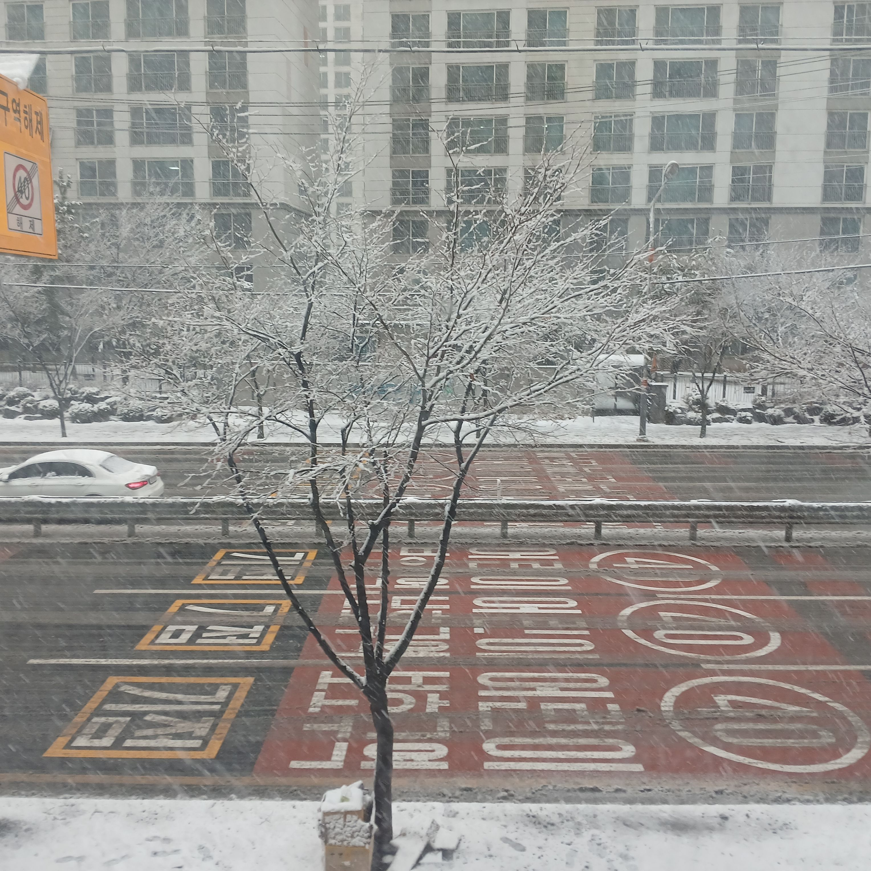 고고프렌즈 비밀 공개 대표 이미지