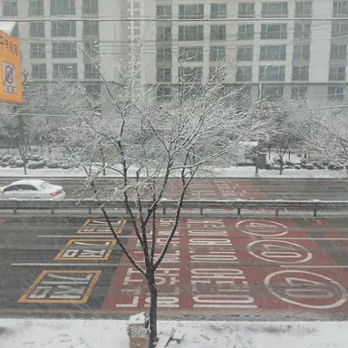 Profile image of 백현