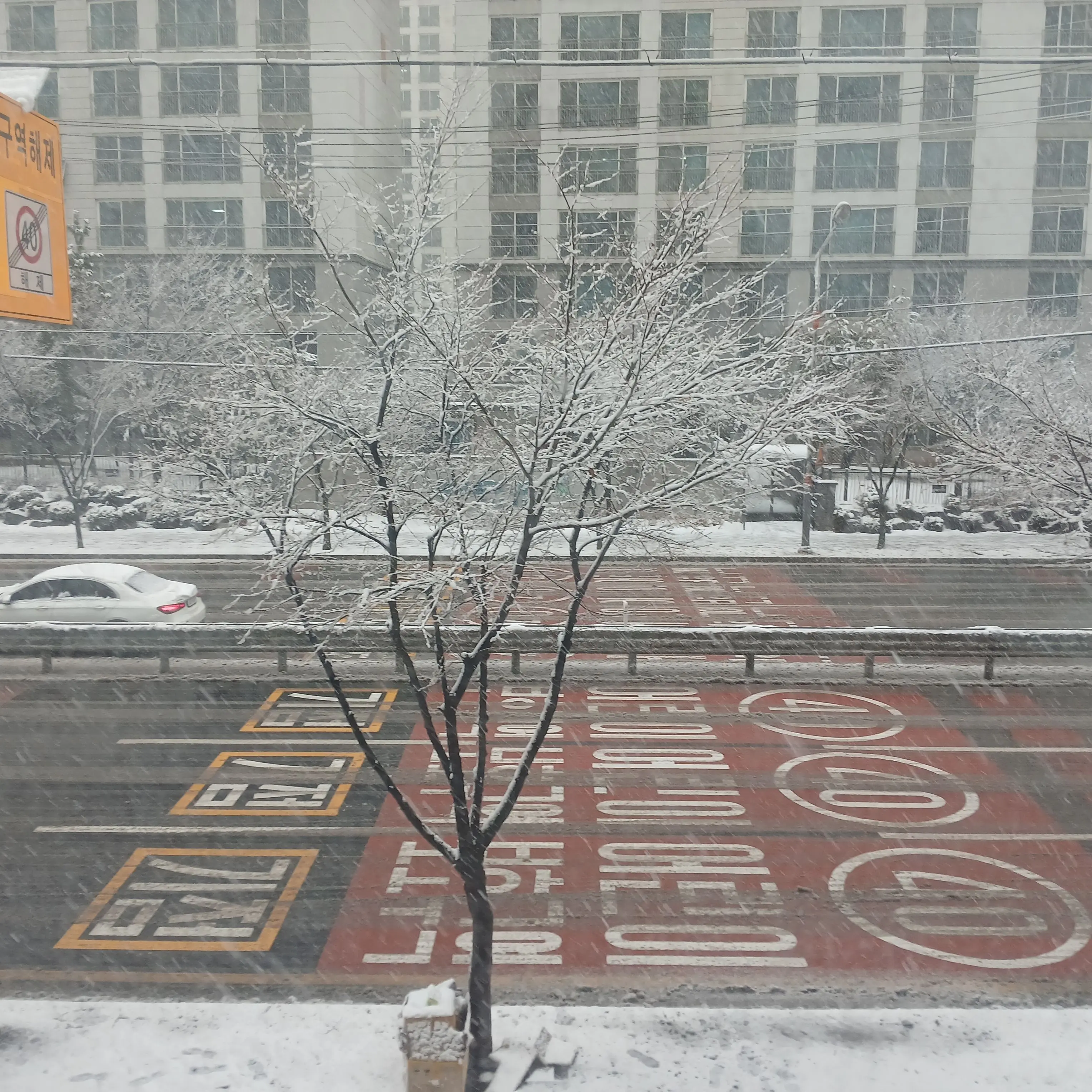 FinalTired1185의 고고프렌즈 비밀 공개