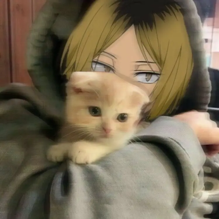 NutmegMilk3843의 코즈메 켄마