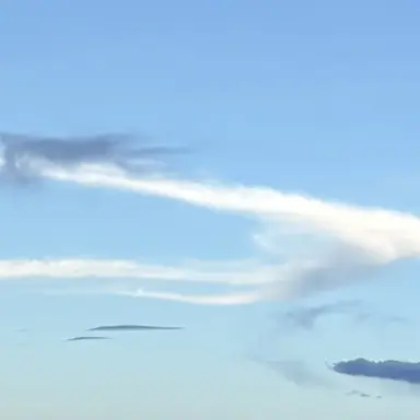 Profile image of ゆじん