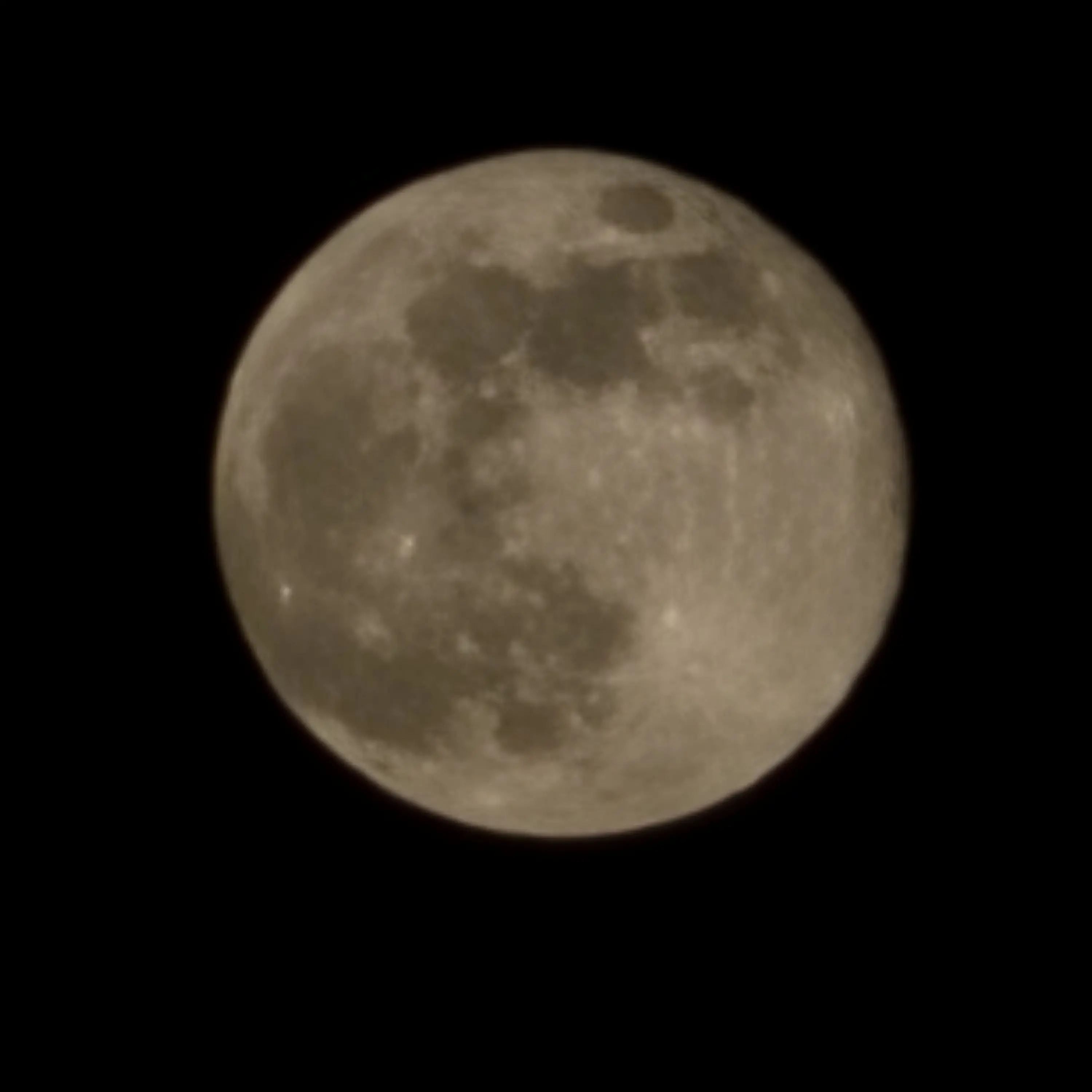 LowRain0015의 Study