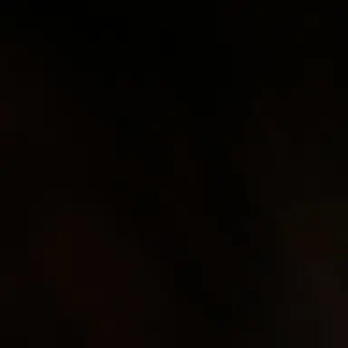 Profile image of ㄱㅇㅎ