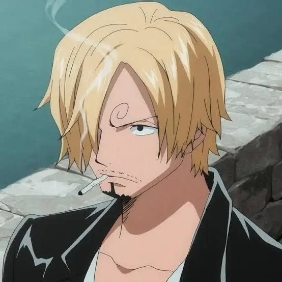 Bakugo_is_mine_and_thats_final의 😏|  Zoro, Sanji, and Luffy |🗡️