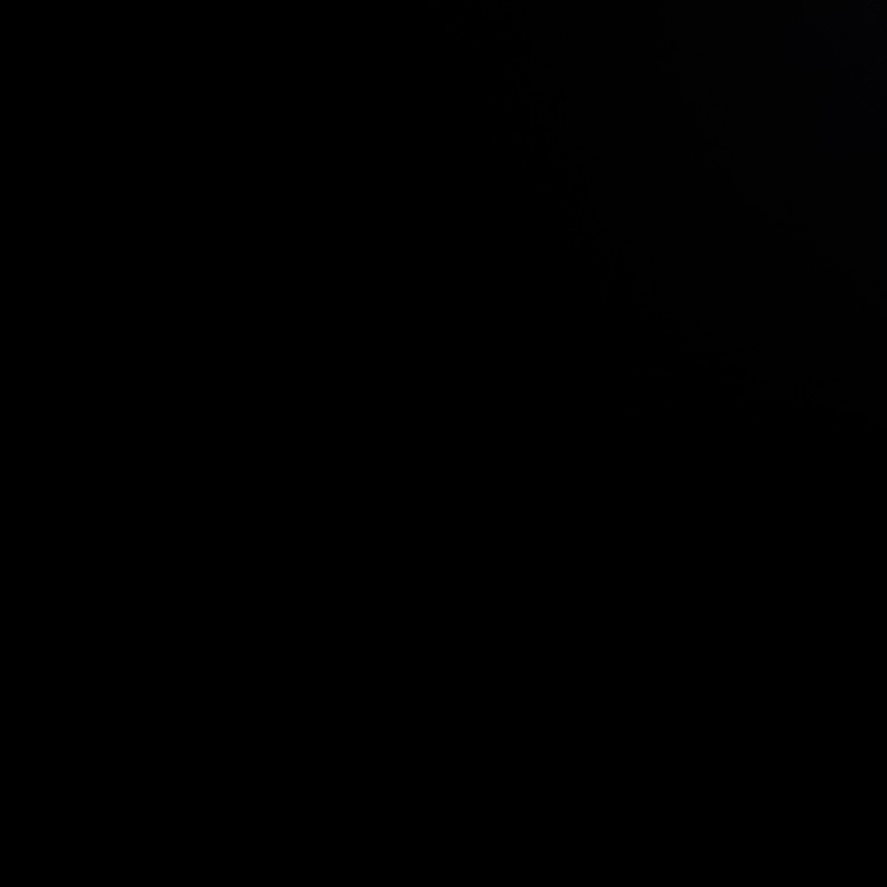범규